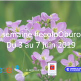 Mobiliser les entreprises sur leur comportement au bureau