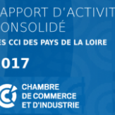 Parution de la 1ère édition régionale du rapport d'activité !