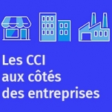 Les CCI aux côtés des entreprises