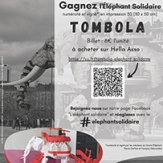 Une tombola Solidaire au profit de l’Adapei de Loire-Atlantique