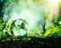 Environnement Energie Développement entreprises