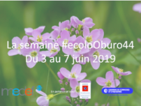 Mobiliser les entreprises sur leur comportement au bureau