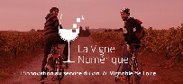 Crédit photo : www.isorepublic.com - Tom Eversley- la vigne numérique