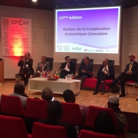 Coopération-economique-Afrique-2017
