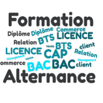Formations en alternance CCI Nantes St-Nazaire