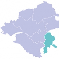 Elections municipales 2020 : attentes des entreprises du Vignoble Nantais