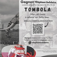 Une tombola Solidaire au profit de l’Adapei de Loire-Atlantique