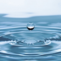 Quelles solutions pour préserver la ressource en eau dans votre entreprise ?