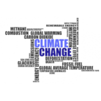 Atelier-débat sur le changement climatique