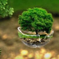 L'innovation peut-elle sauver la planète ?