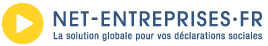 Logo Net-Entreprises.fr